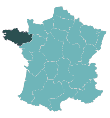 Arrivelec Bretagne