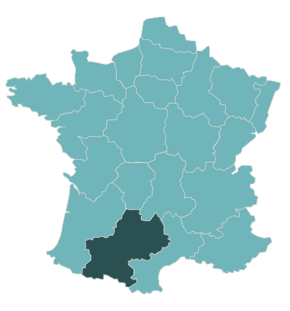 Arrivelec Midi Pyrenees